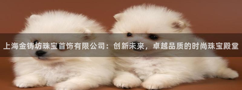 众腾娱乐平台下载