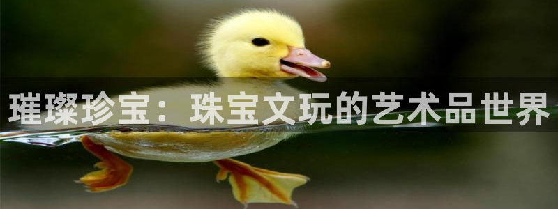 包头众腾娱乐密室逃脱