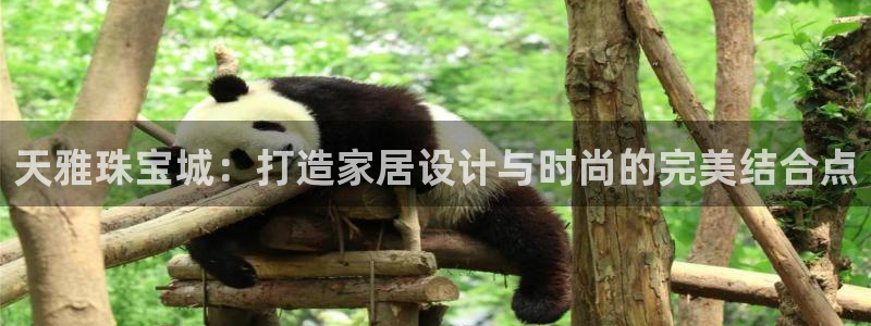 众联别墅g座上腾娱乐有限公司：天雅珠宝城：打造家居设计与时尚