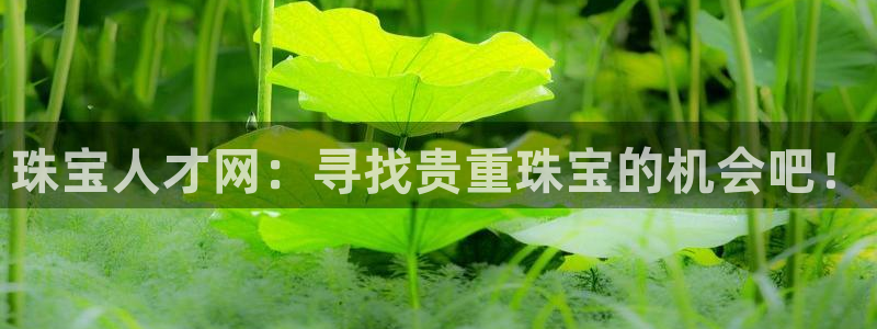 众腾娱乐总代理