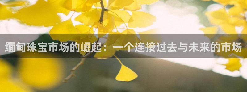 众腾娱乐代理怎么样