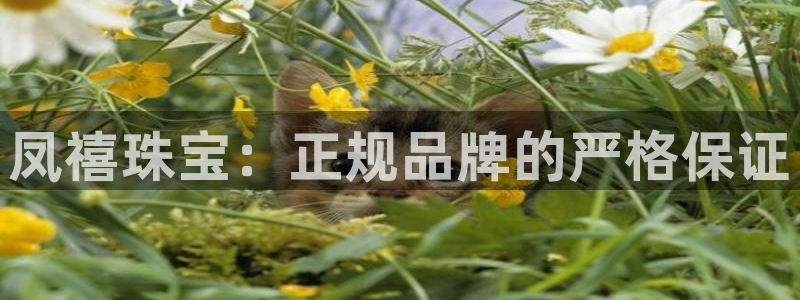 腾耀娱乐众推46996