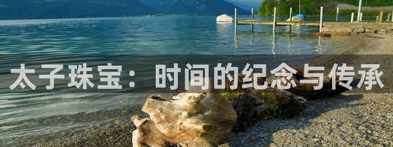 众腾娱乐平台下载