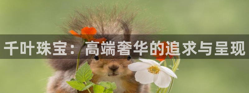 众腾娱乐平台官网入口