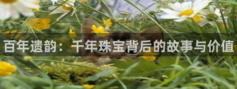 腾耀娱乐众推55312