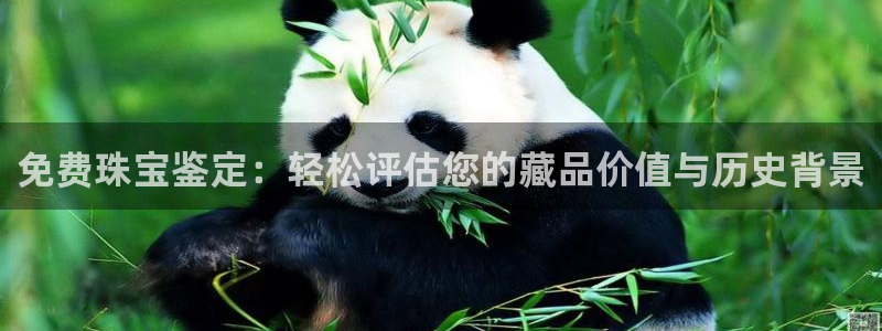 包头众腾娱乐密室逃脱