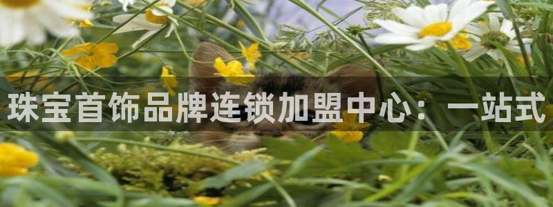 楚雄众腾娱乐是干什么的：珠宝首饰品牌连锁加盟中心：一站式