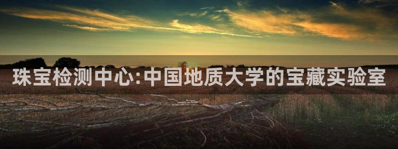彝族自治州众腾娱乐：珠宝检测中心:中国地质大学的宝藏实验室