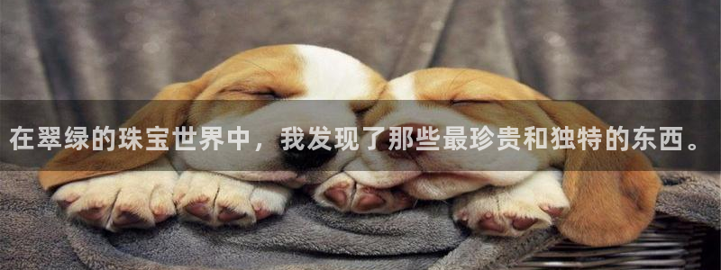 众腾娱乐文化怎么样