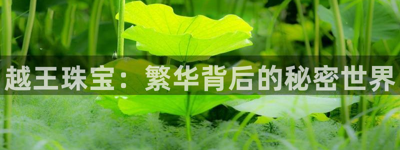 众腾娱乐登入探索无限空间：越王珠宝：繁华背后的秘密世界