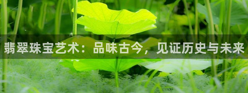 众腾娱乐公司简介：翡翠珠宝艺术：品味古今，见证历史与未来