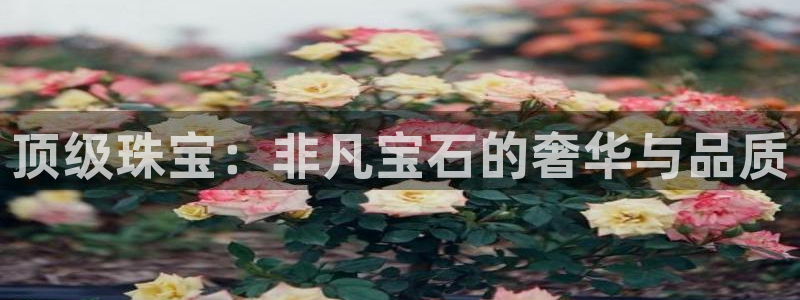 腾众娱乐彩票：顶级珠宝：非凡宝石的奢华与品质