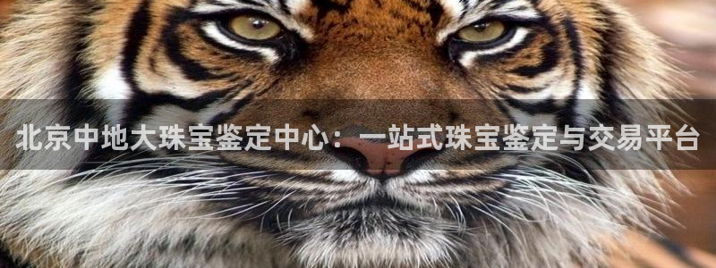 众腾娱乐：北京中地大珠宝鉴定中心：一站式珠宝鉴定与交易平台