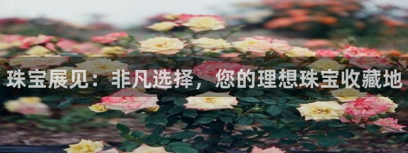 众腾娱乐平台：珠宝展见：非凡选择，您的理想珠宝收藏地