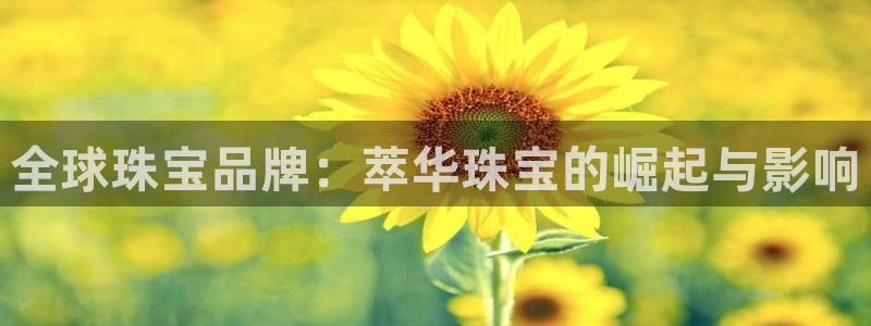 众东腾娱乐客服：全球珠宝品牌：萃华珠宝的崛起与影响