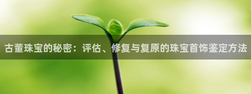 众腾娱乐官方客服电话：古董珠宝的秘密：评估、修复与复原的珠宝