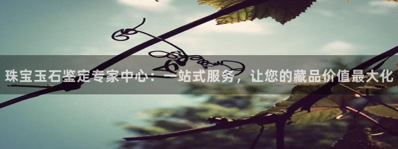 众腾娱乐平台官网入口:珠宝玉石鉴定专家中心:一站式服务,让您