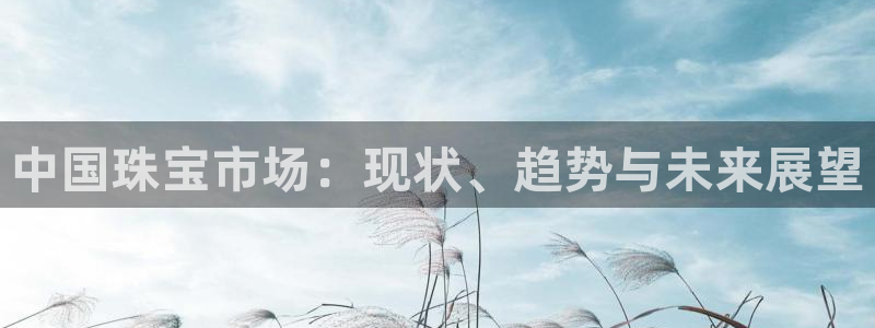 众联别墅g座上腾娱乐有限公司
